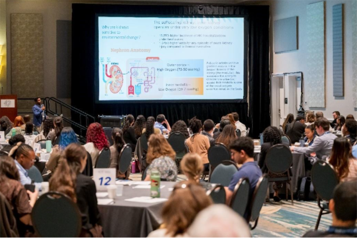 Students learn about toxicology during the Undergraduate Education Program